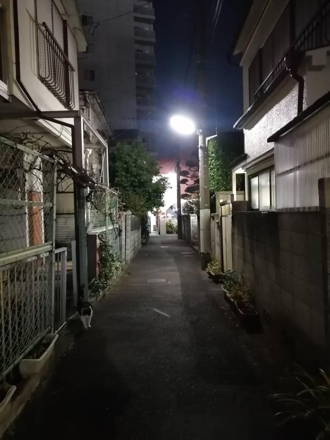 Tokyo Downtown Bed & Breakfast Dış mekan fotoğraf